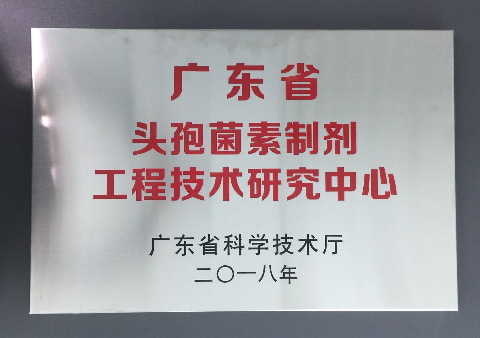 广东省头孢菌素制剂工程技术研究中心.jpg